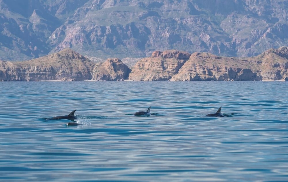 Villa del Palmar Islands of Loreto