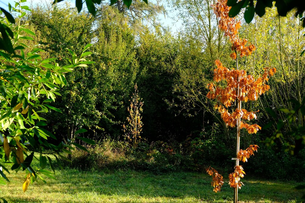 Photo 48