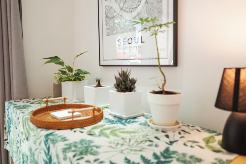 Starria Hostel foreign guest only 7