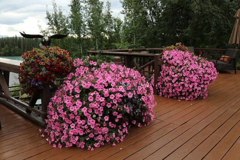Great Alaska Adventures Lodge view 3