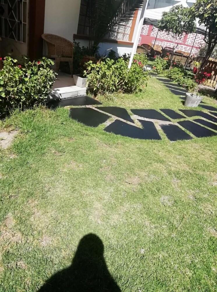 Photo 15