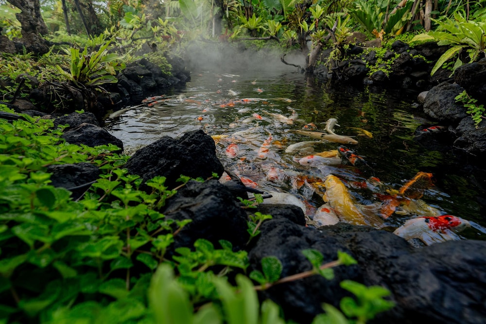 E Sanctuary Resort Ubud