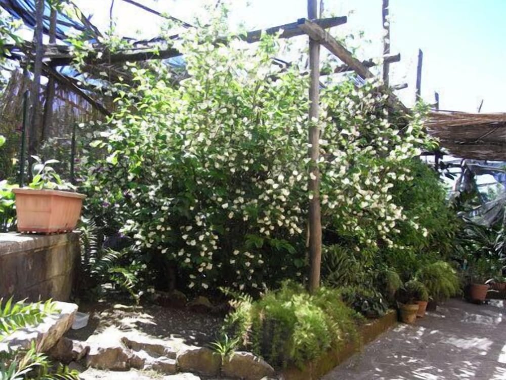 Casale Nunziatina