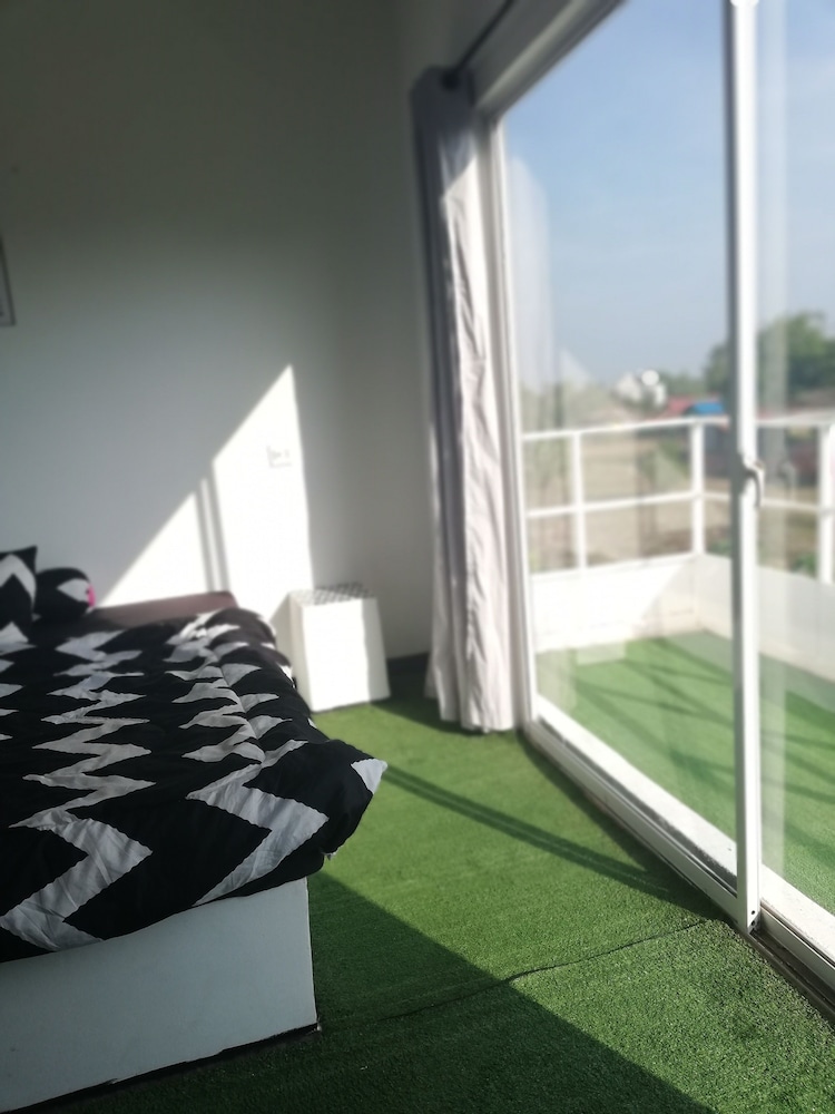 Cat's Hostel view 4