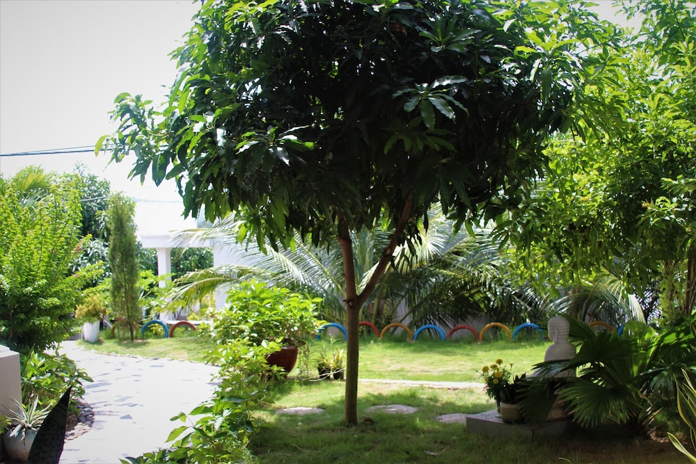 Photo 12