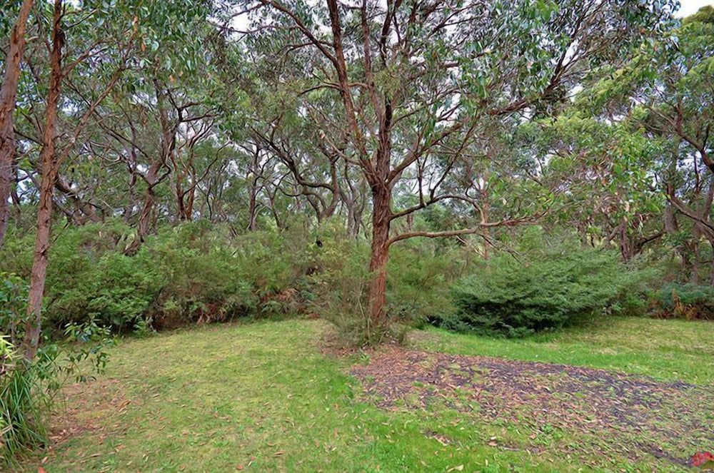 Cape Otway Cottages