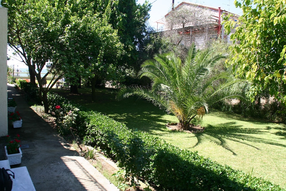 Photo 8