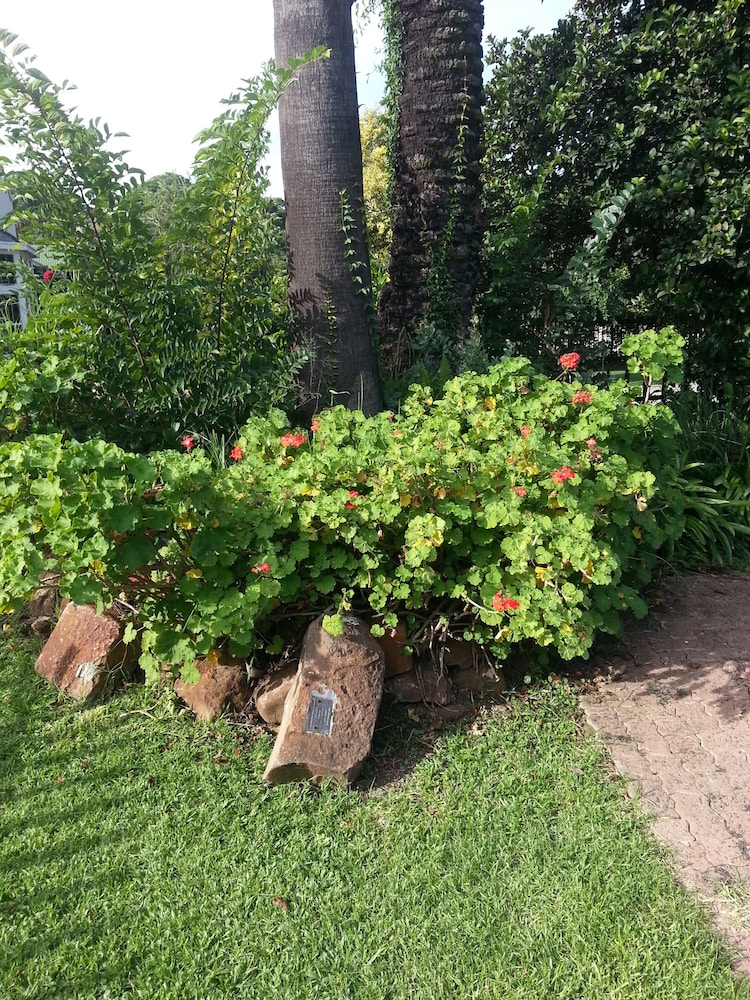 Boer And Brit Self Catering Guest House