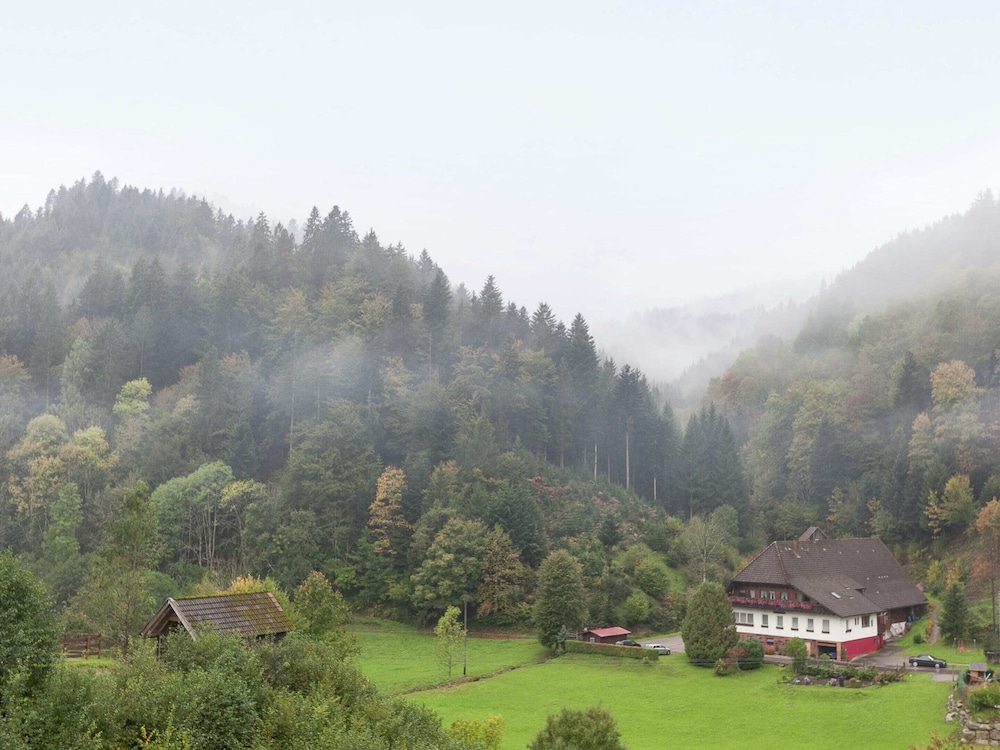 Hideaway Near Black Forest view 3