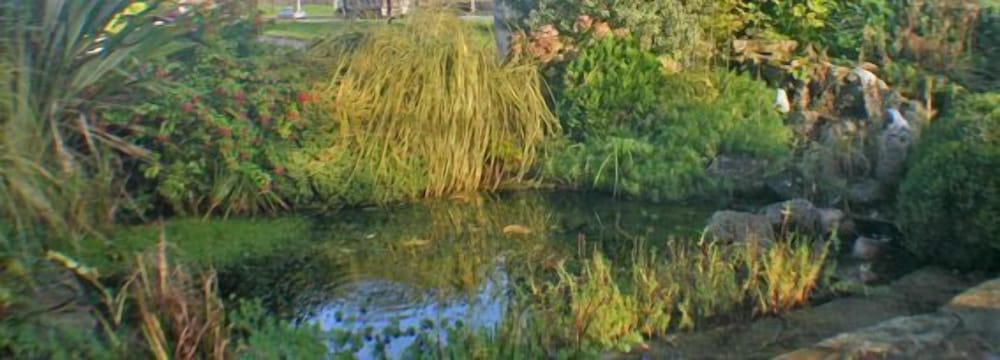 Corrib Haven Guesthouse view 5