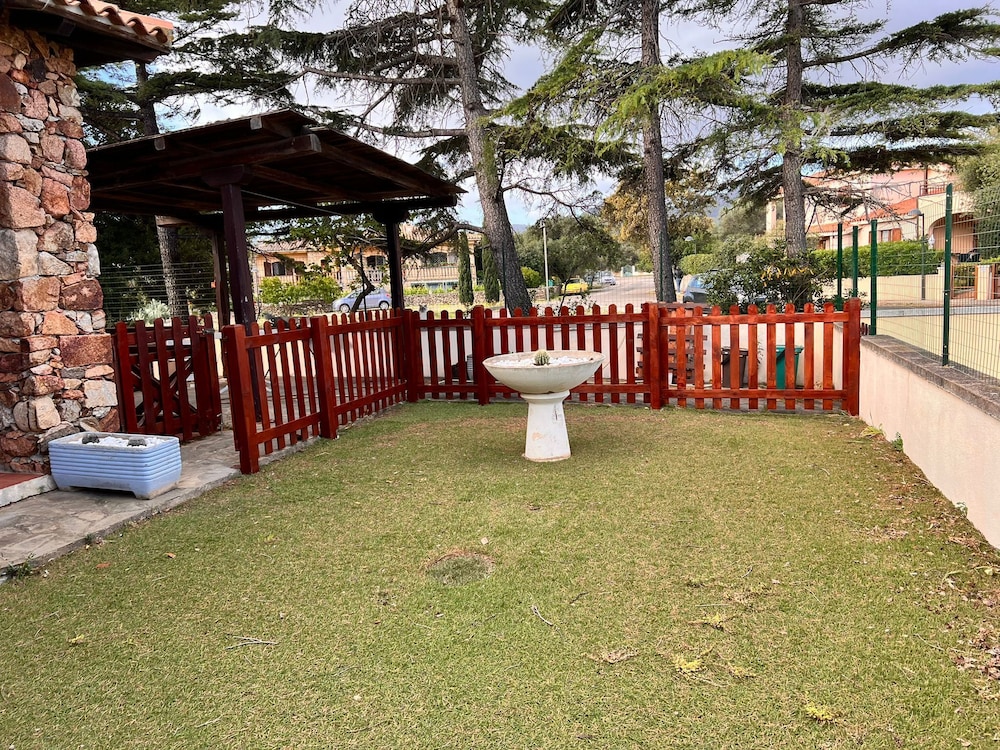 Photo 11