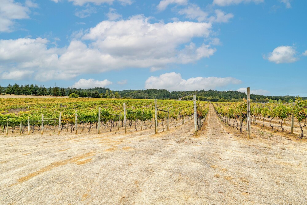 Vineyard Farmhouse in Oakland w/ Hot Tub!