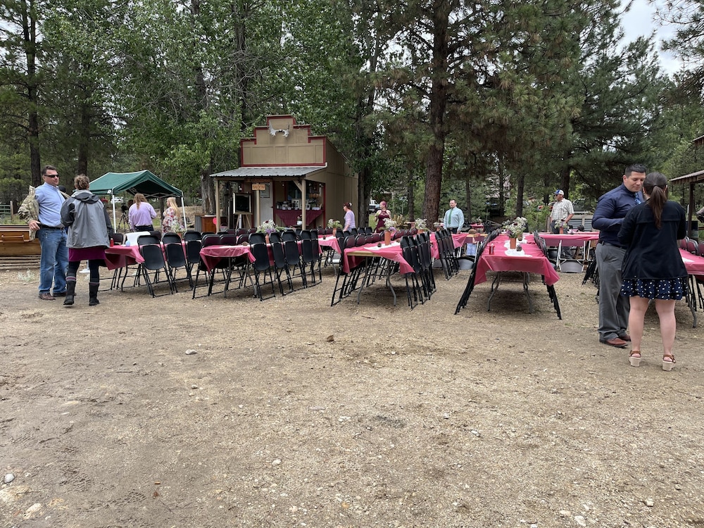 Photo 41