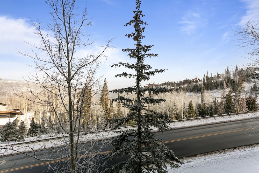Grand Lodge - Three Bedroom #201 - Ski-in/ski-out 3 Condo