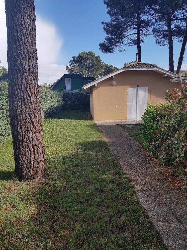 Photo 48