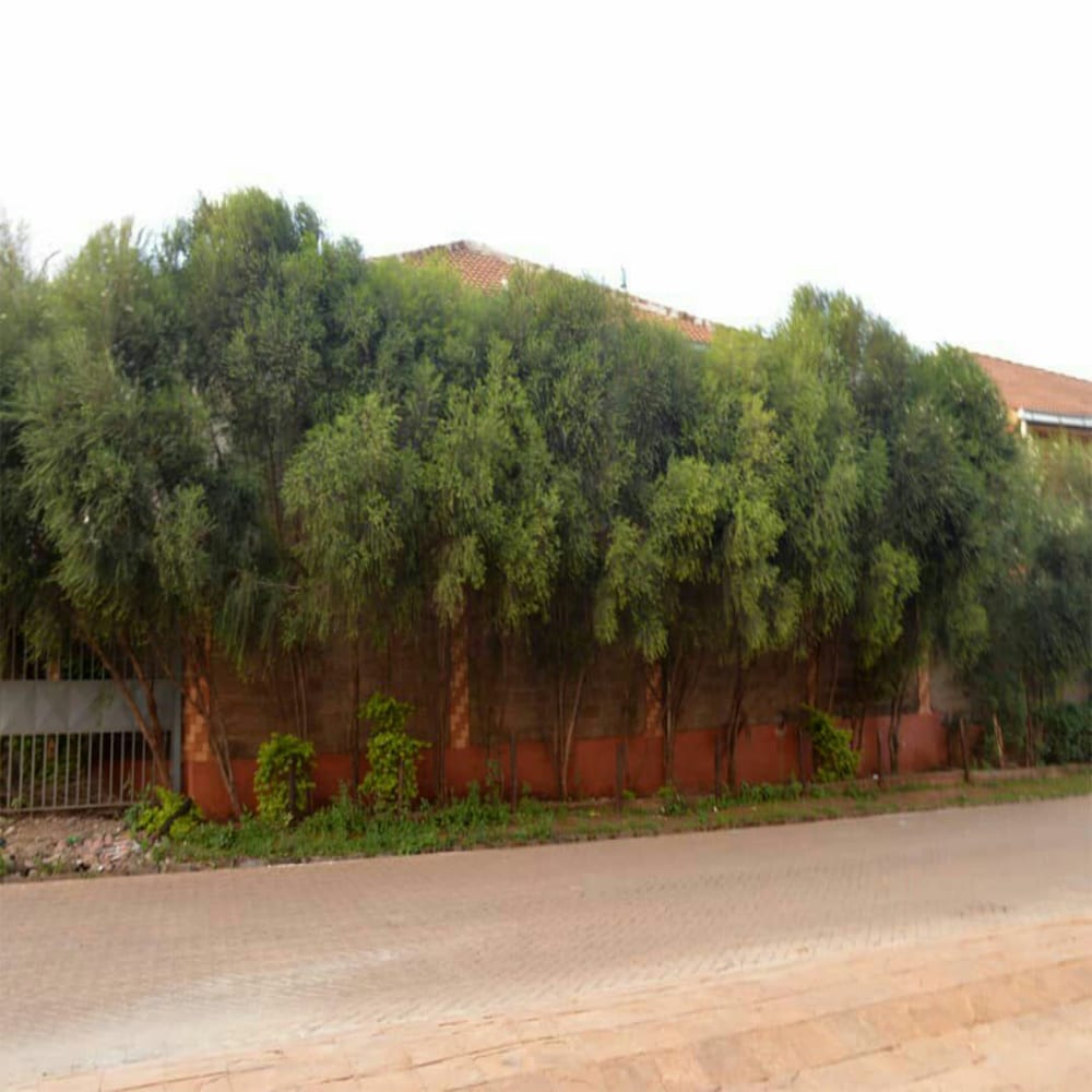 Nemadek Royal Park