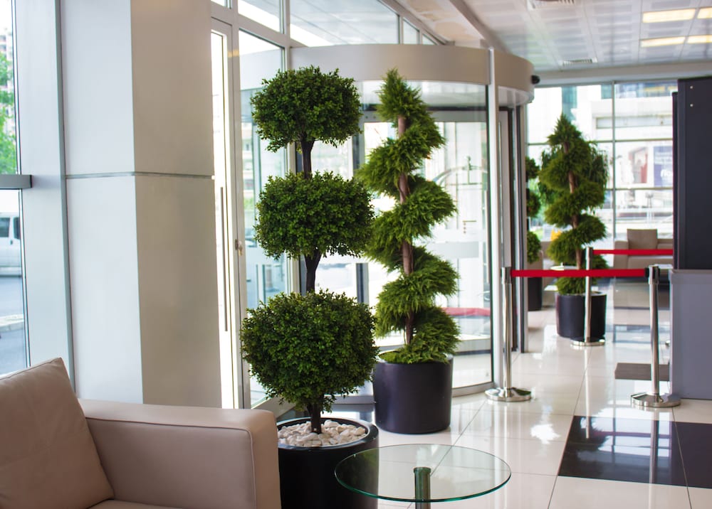 D&D Suites Flora