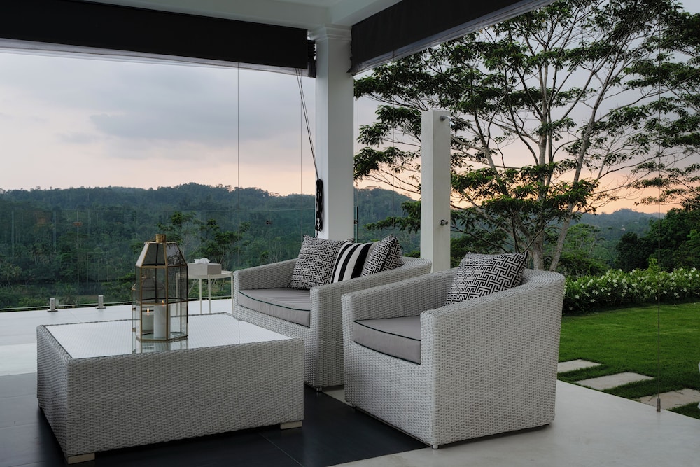 Camelia Ranch