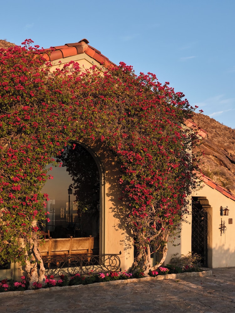 The Willows Palm Springs