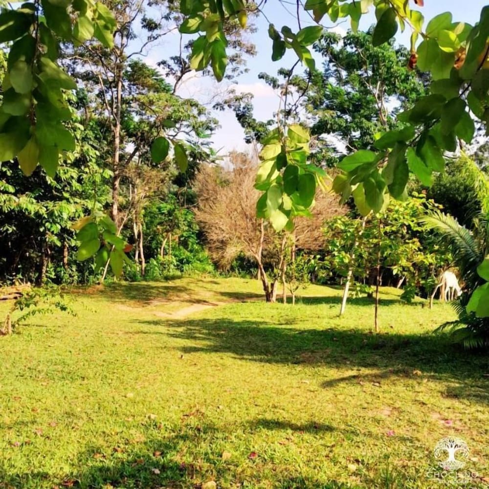 CHOCLINO ECOLODGE BUNGALOWS
