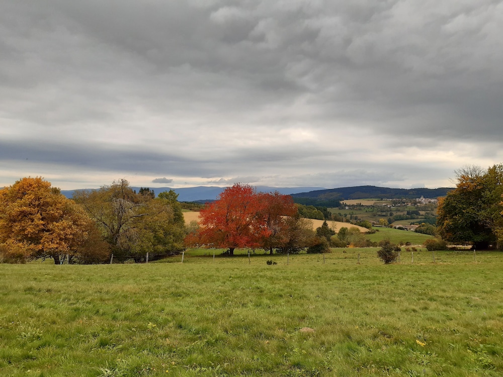 S.P.L. SAVILOISIRS view 3