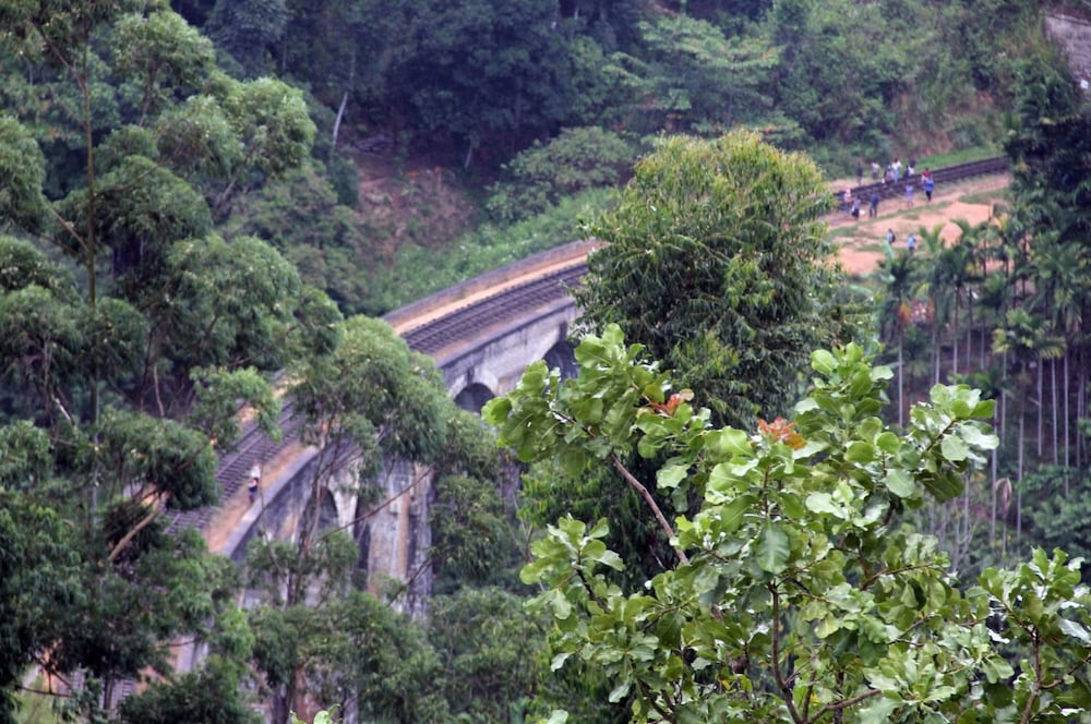 Ella Sisila View