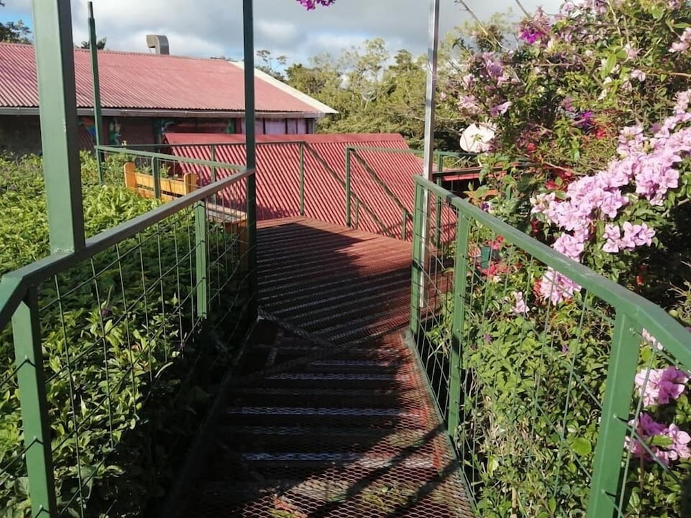 Photo 41