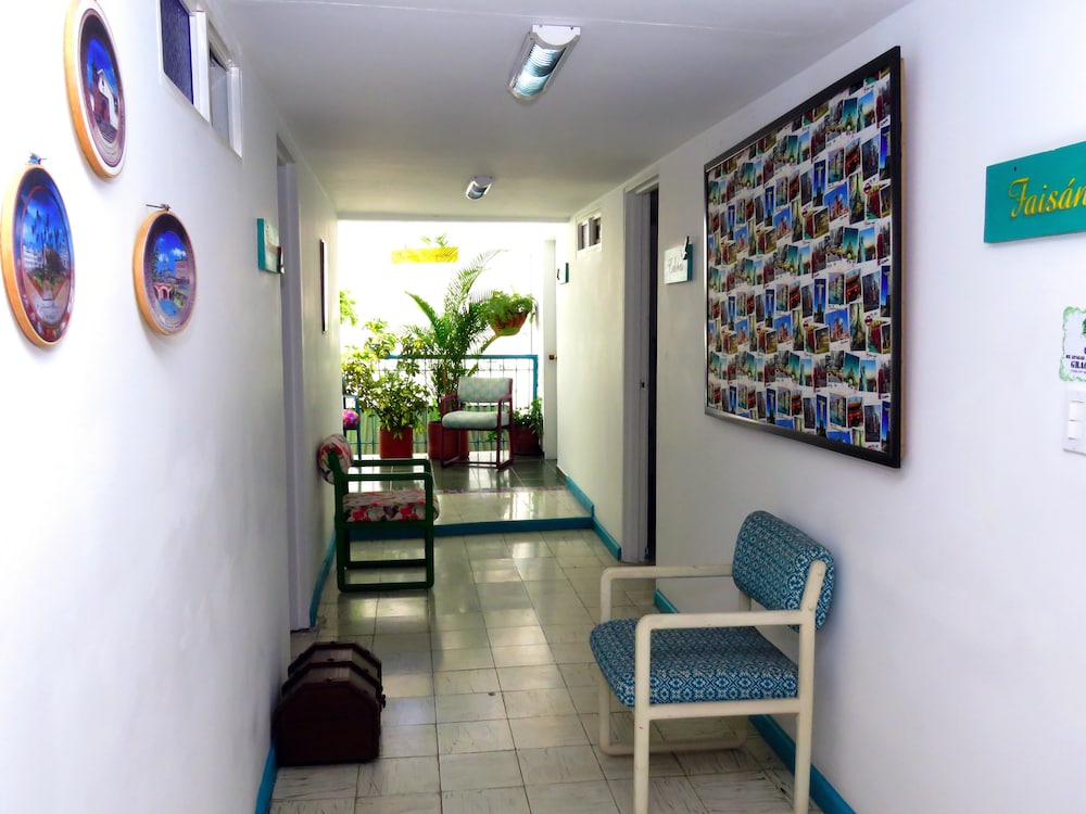 Hostal Pajara Pinta - Hostel