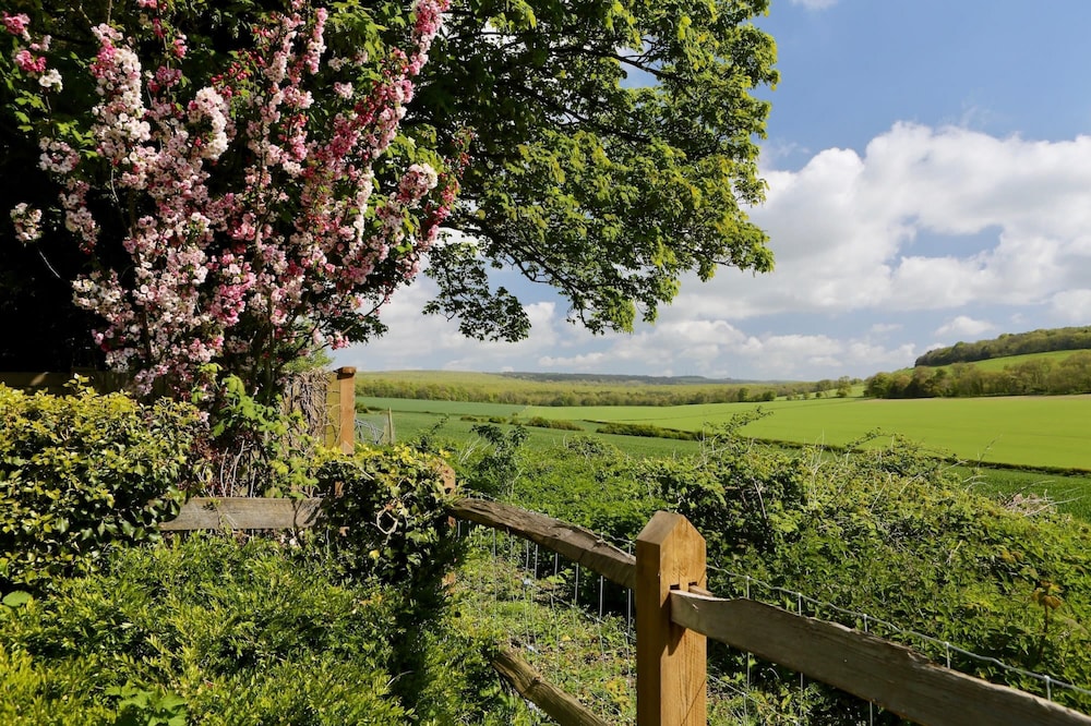 Charming Cottage for 10 in Heart of South Downs view 5