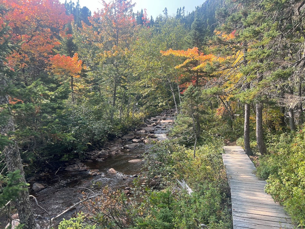 Indian Falls Chalets