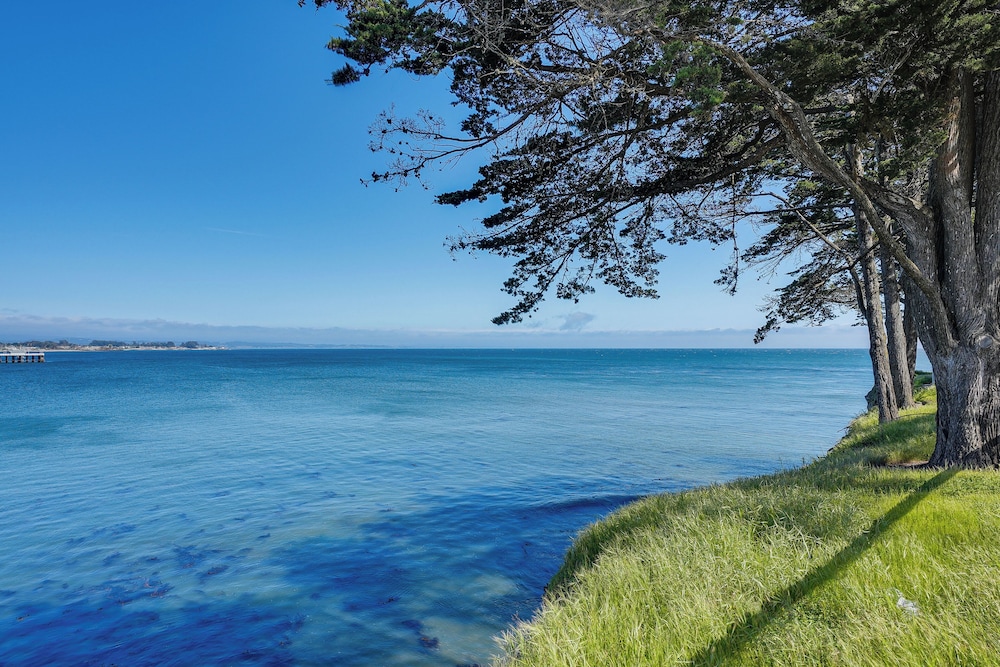 Charming Santa Cruz Studio w/ Private Hot Tub