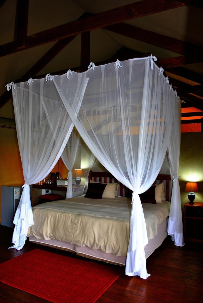 Lion Tree Top Lodge