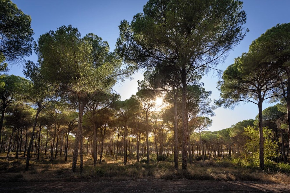 Huttopia Parque de Doñana