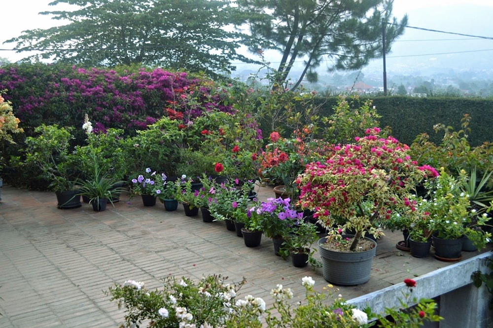 Vila Bunga Merah Gelatik