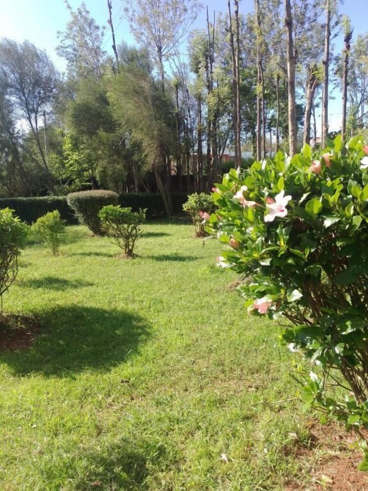 Wooden Knee cottages Nanyuki