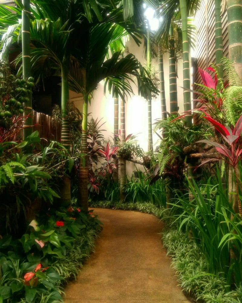 Viang Thapae Resort