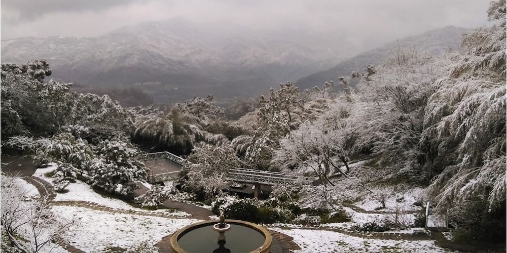 Prado Hill Holiday