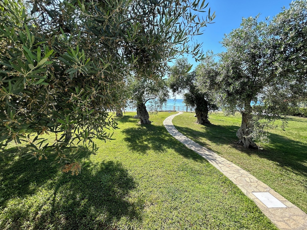 Photo 42