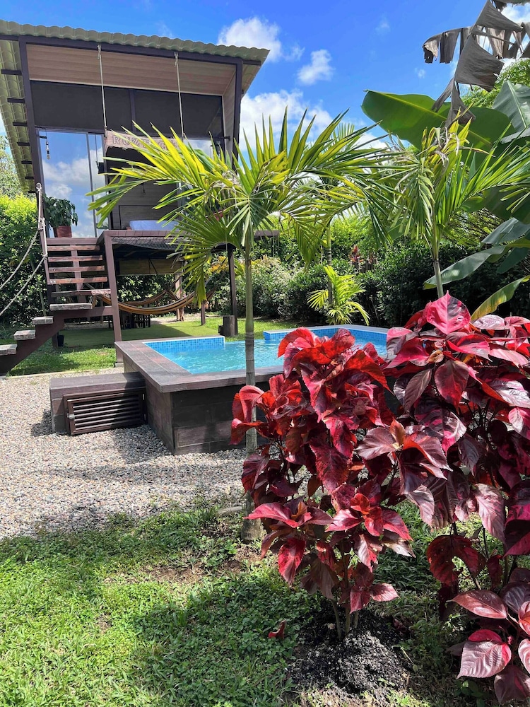 Luxury Glamping in Ruztico
