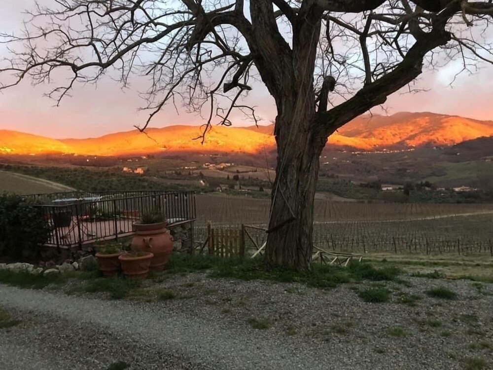 AZIENDA AGRICOLO IL POGGIOLINO