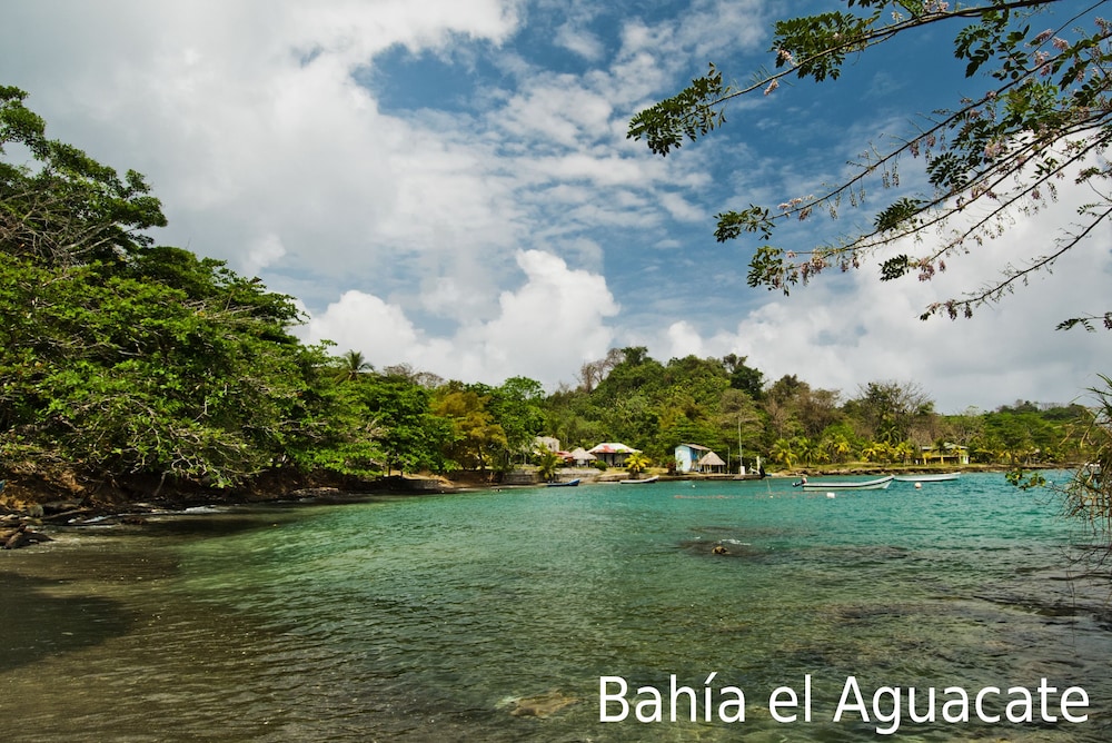Tacarcuna Lodge