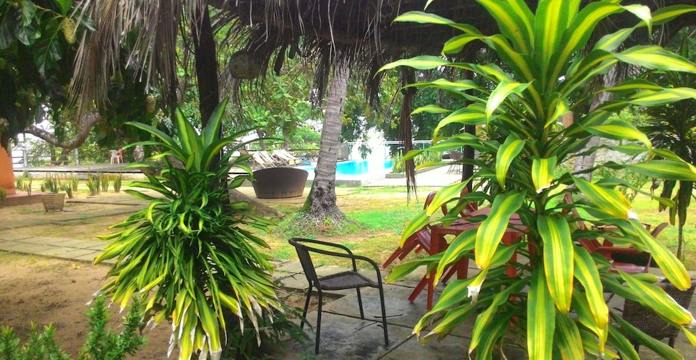 Photo 14