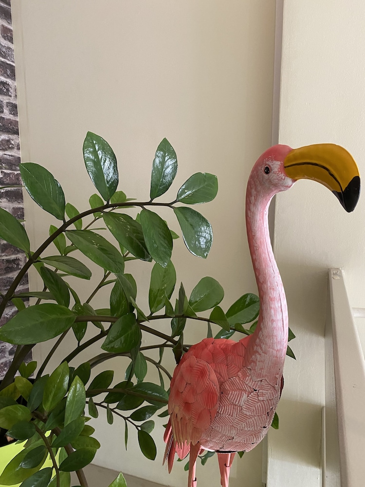 O Casarao Guesthouse