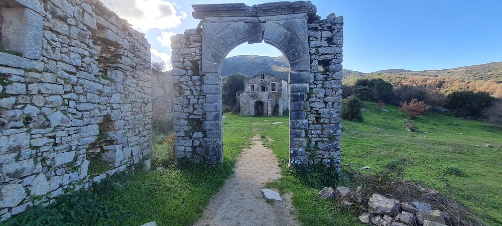 Photo 100