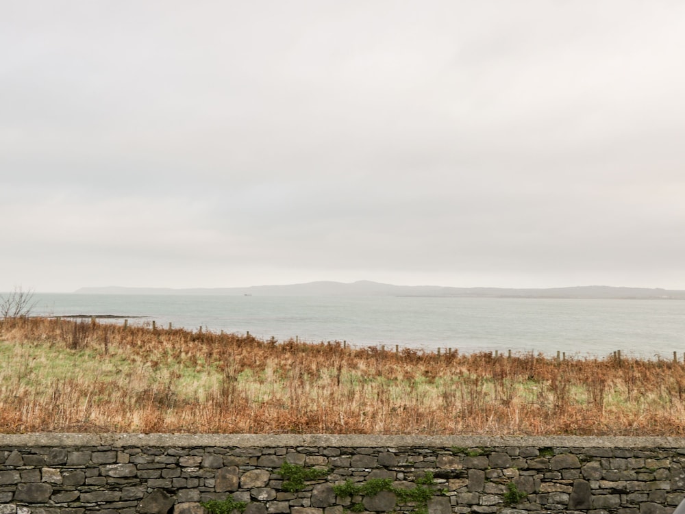Pentowyn