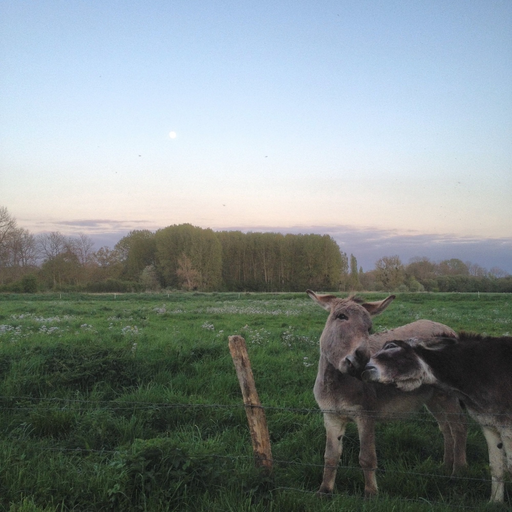 La Ferme des Isles
