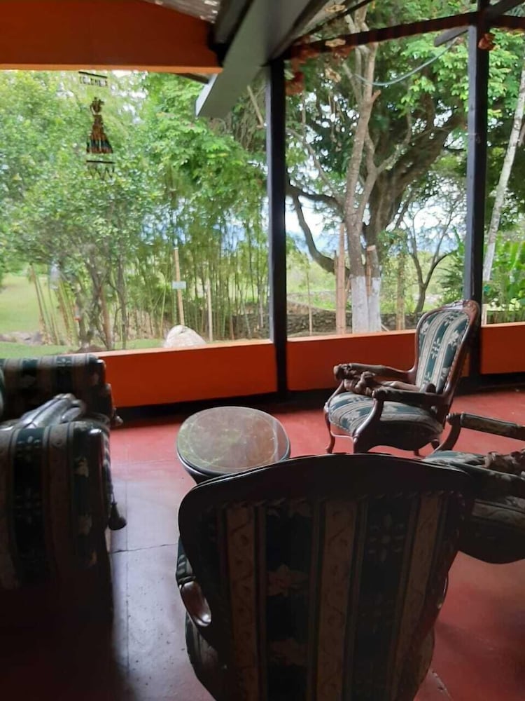 Los Palmares Hostel view 3