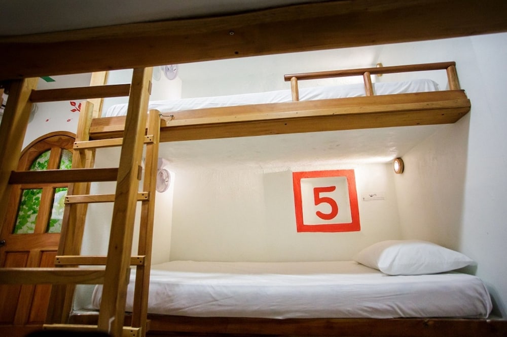 Hostel Natura