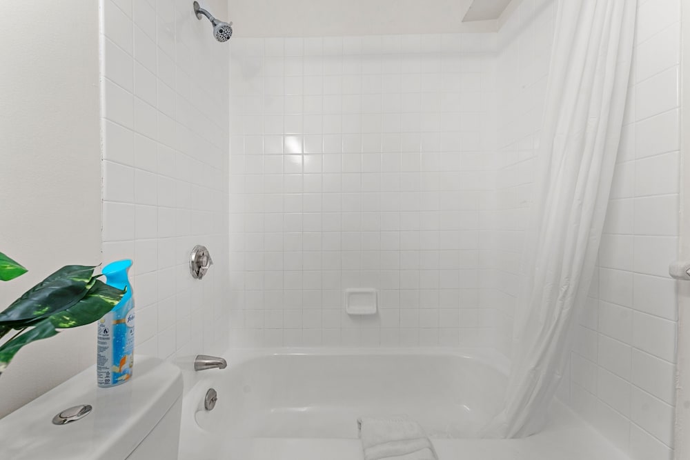 Furnished Apartment Near Longwood