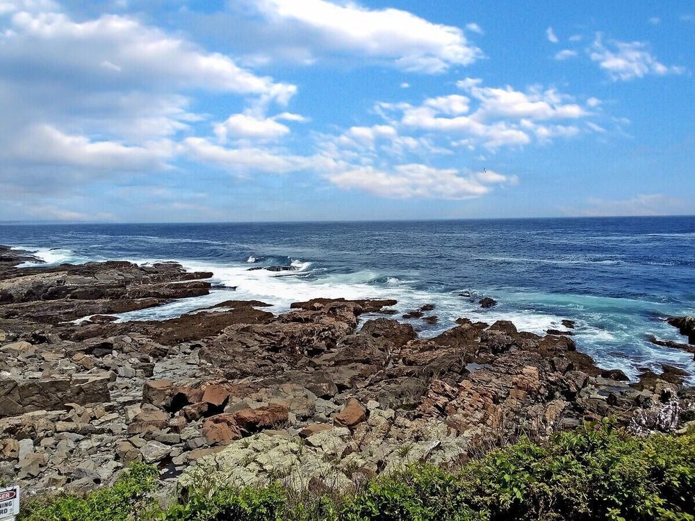 Seacoast Sanctuary